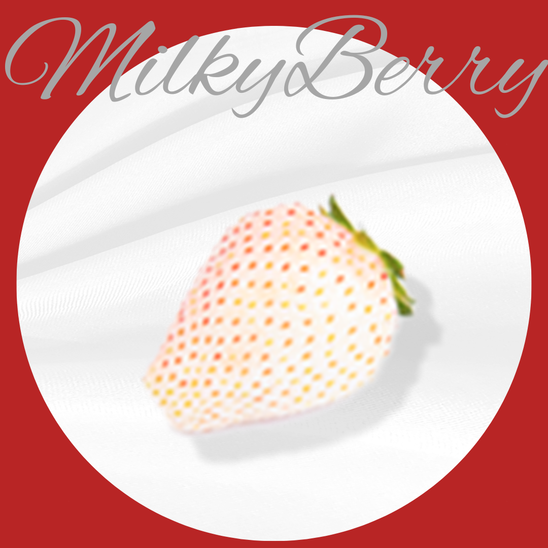 ミルキーベリー